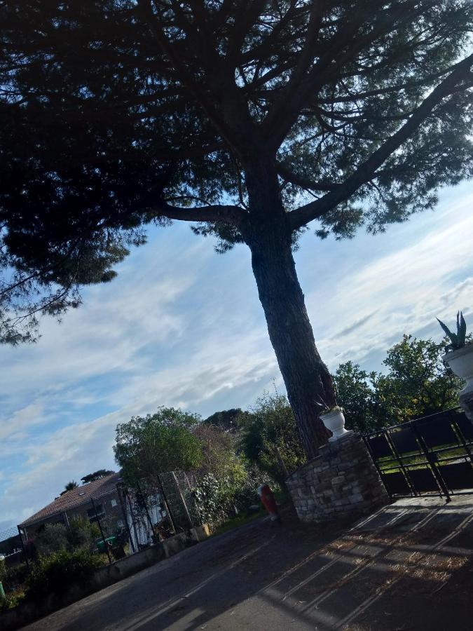 Appartement Un Nid Douillet En Bord De !! *